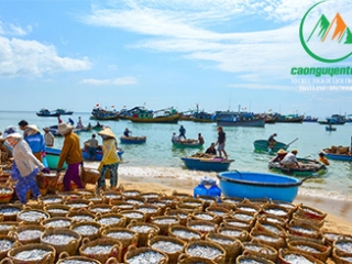 DU LỊCH LA GI – 3 ĐIỂM ĐẾN ĐẶC SẮC NHẤT ĐỊNH PHẢI GHÉ!