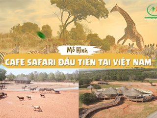 SAFARI CAFE PHAN THIẾT CÓ GÌ? – KHÁM PHÁ “ỐC ĐẢO CHÂU PHI” GIỮA LÒNG PHAN THIẾT