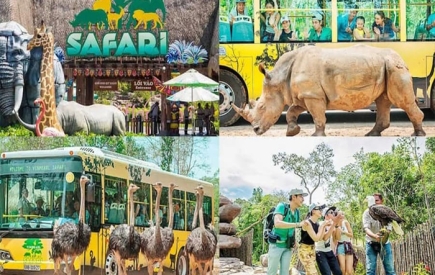 COMBO PHÚ QUỐC 3 NGÀY 2 ĐÊM | Resort 3 sao + Vé Safari- Vinwonder Phú Quốc  tiết kiệm 