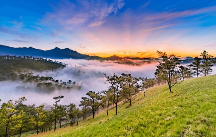 Tour Bạc Liêu Đà Lạt 3 ngày 3 đêm | Săn mây Cầu Đất  | Tour Đà Lạt từ Bạc Liêu