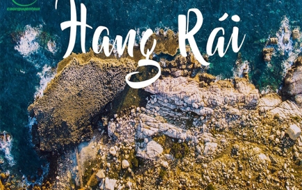Company Trip Ninh Chữ Vĩnh Hy 2 ngày 1 đêm  từ Bình Dương 