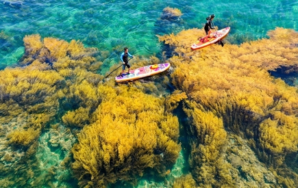 Tour Bình Dương Quy Nhơn Phú Yên 3 ngày 3 đêm giá rẻ