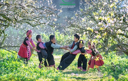 Tour Buôn Mê Thuột đi Hà Nội Mộc Châu - Mai Châu- Hòa Bình 4 ngày 3 đêm