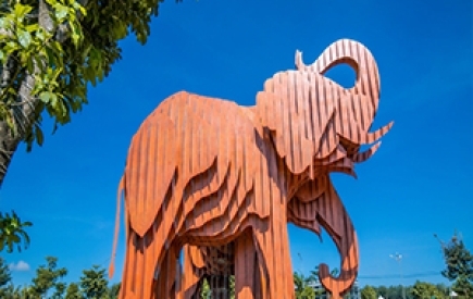 Tour Buôn Mê Thuột 3 ngày 3 đêm Lễ 2/9  | Du lịch Tây Nguyên 