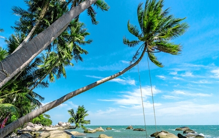 Tour Đồng Tháp đi Đảo Nam Du 2 ngày 1 đêm giá rẻ chất lượng