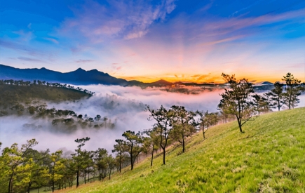 Tour Kiên Giang đi Nha Trang Đà Lạt 4 ngày 4 đêm tiết kiệm 