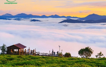 Tour Long An đi Đà Lạt 3 ngày 3 đêm Trọn gói giá rẻ  | Săn Mây Cầu Đất 