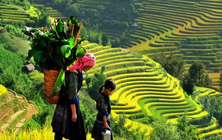 Tour Tây Ninh - Hạ Long - Ninh Bình- Sapa - Hà Nội 5 ngày 4 đêm |  Tour Du lịch Miền Bắc 