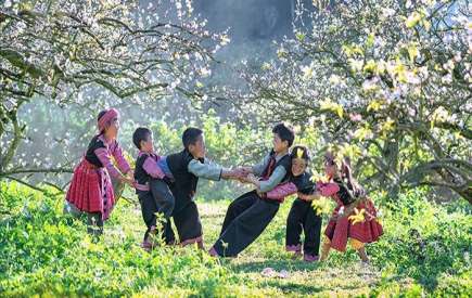 Tour du lịch Mai Châu Mộc Châu 3 ngày 2 đêm giá rẻ 
