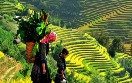 Tour Sài Gòn - Hà Nội - Sapa 4 ngày 3 đêm giá rẻ | Tour Tây Bắc 