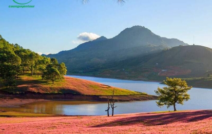 Tour Vĩnh Long Đà Lạt 3 ngày 3 đêm giá rẻ | Săn Mây Cầu Đất | Khởi hành từ Vĩnh Long 